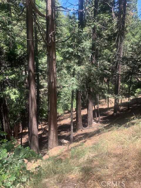 photo 1: State Hwy 189, Lake Arrowhead CA 92352