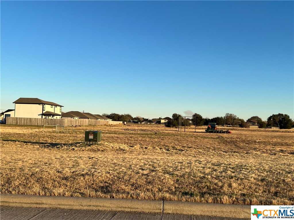 photo 3: Ball Airport Road, Victoria TX 77904