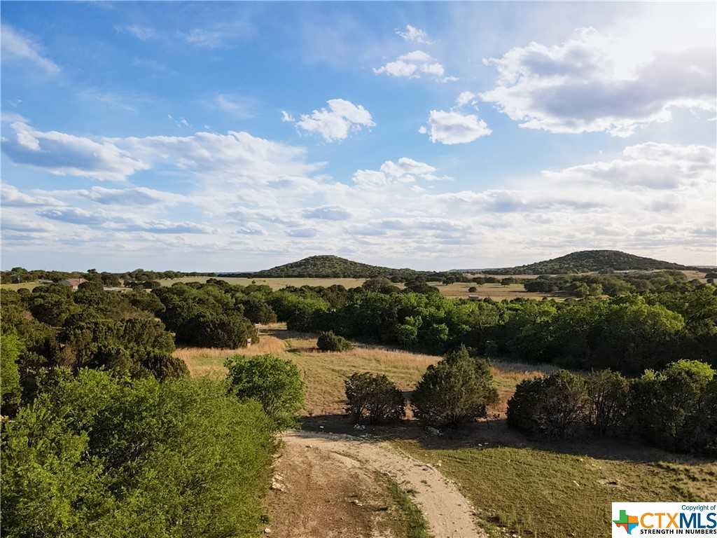 photo 3: 979 Wedgewood Drive, Copperas Cove TX 76522