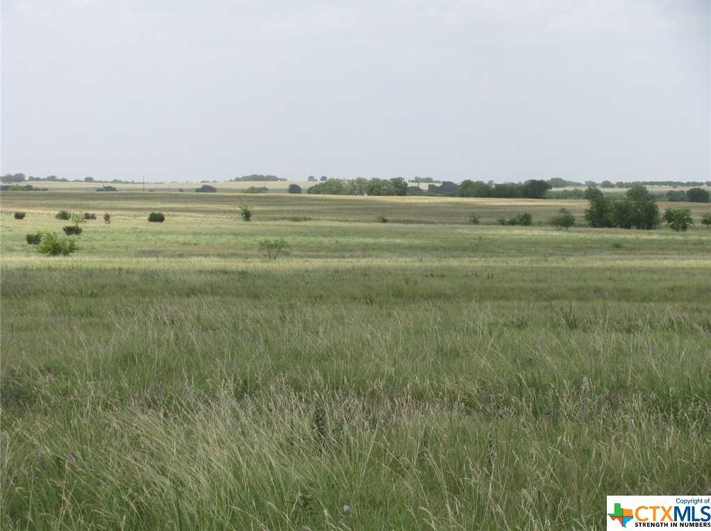 photo 3: TBD FM 929 & CR 260, Gatesville TX 76528