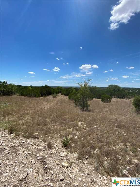 photo 3: Lot 139 High Point Drive, Kempner TX 76539