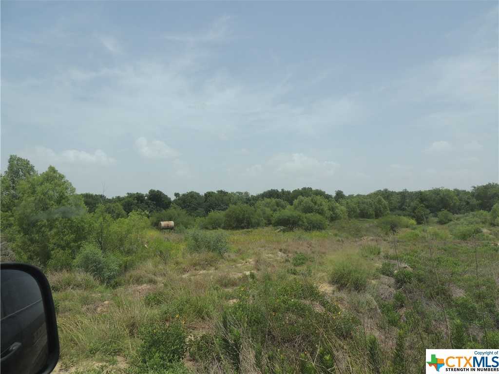 photo 3: TBD York Road, Victoria TX 77905