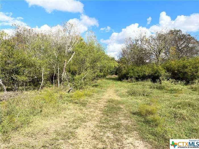 photo 7: Rice Davis Road, Yoakum TX 77995