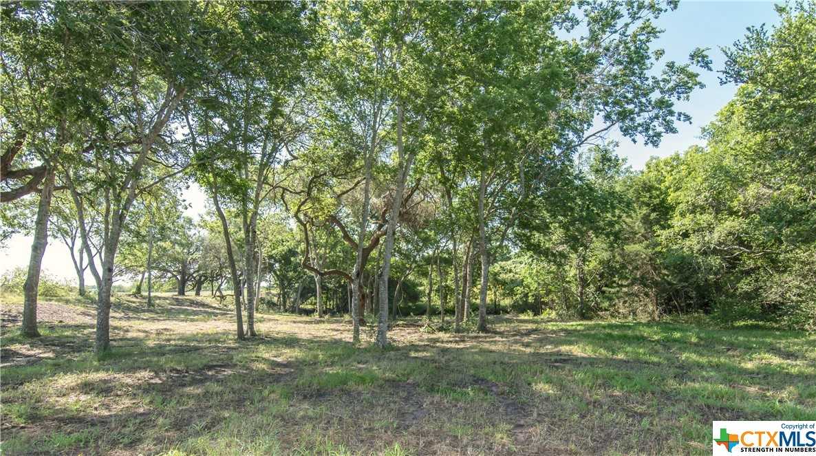 photo 3: 511 CR 362 Unit Lot 2, Shiner TX 77984