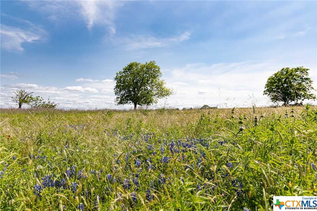 photo 3: County Road 369, Shiner TX 77984