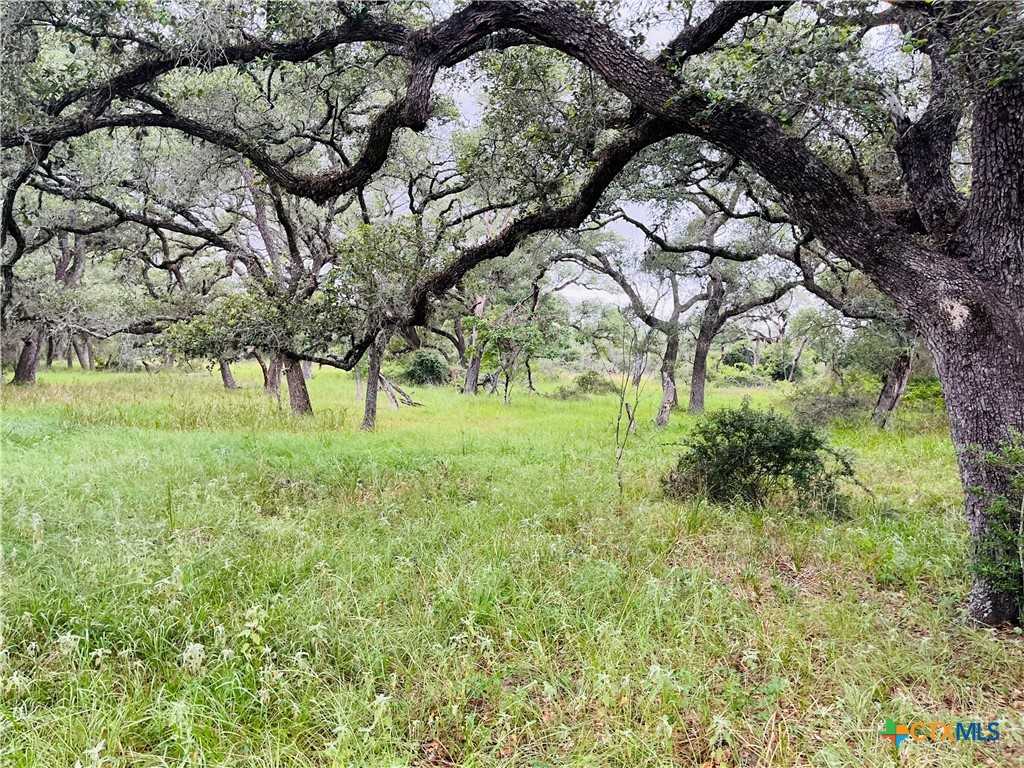 photo 3: Rocky Rd, Cuero TX 77954