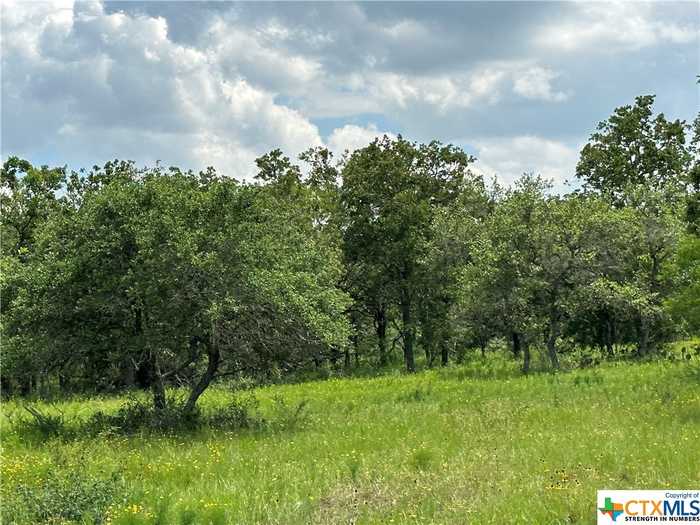 photo 2: Franke Rd, Goliad TX 77963