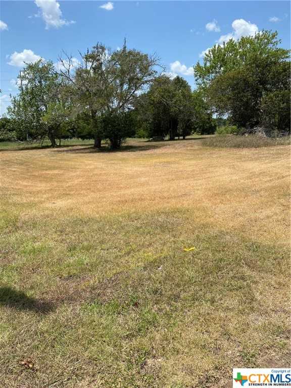 photo 3: 814 Baldwin Street, Yoakum TX 77995