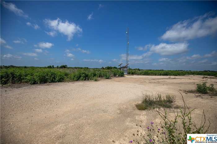 photo 46: 2501 Emil Blank Road, Yoakum TX 77995