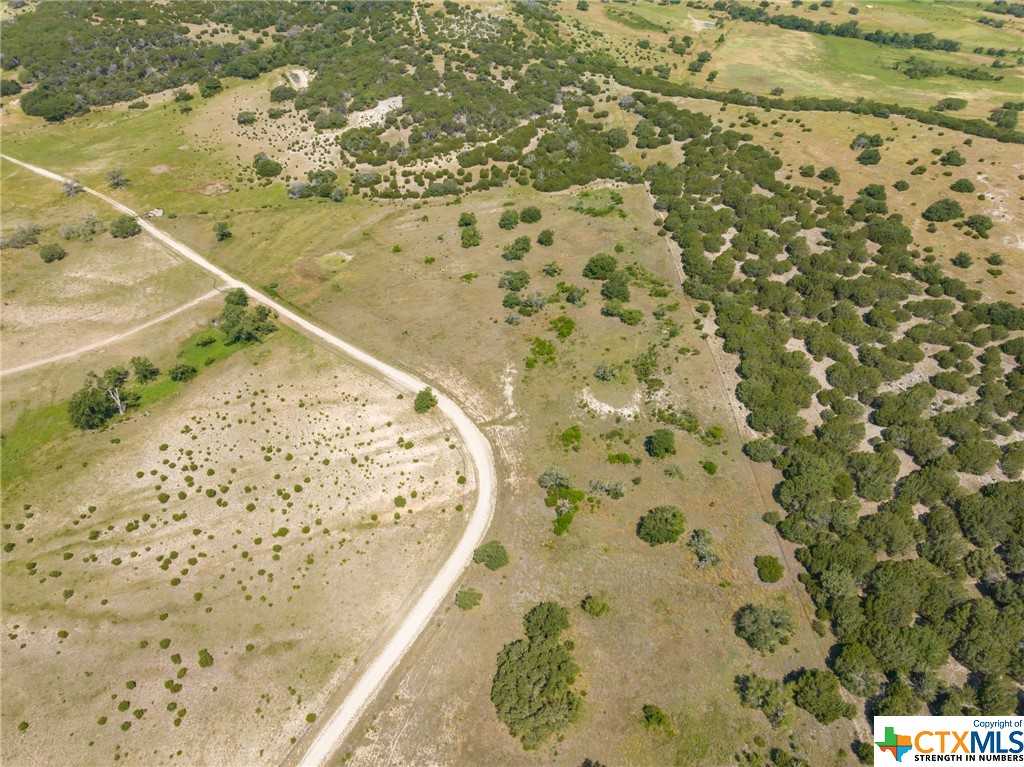 photo 3: TBD Bear Branch Road, Purmela TX 76566