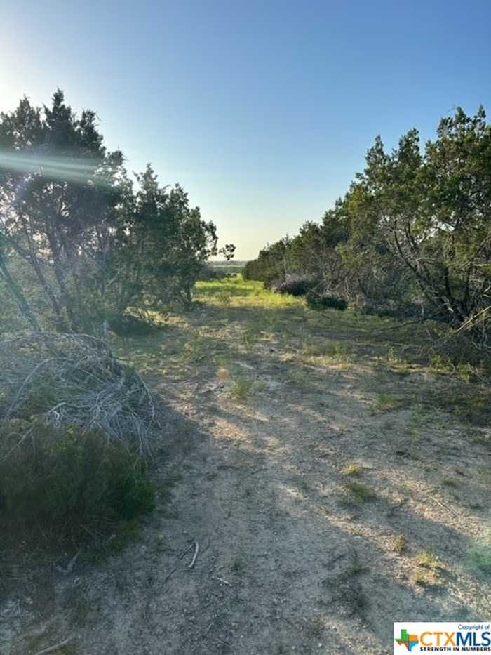 photo 10: TBD S Old Pidcoke Road Road, Gatesville TX 76528