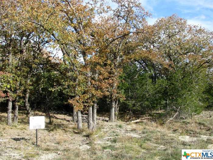 photo 1: Lot 140 Phase 6 Lot 140 PR 42101, Evant TX 76525