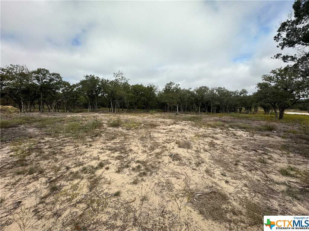 photo 3: TBD LOT 87 Private Road 42105, Evant TX 76525