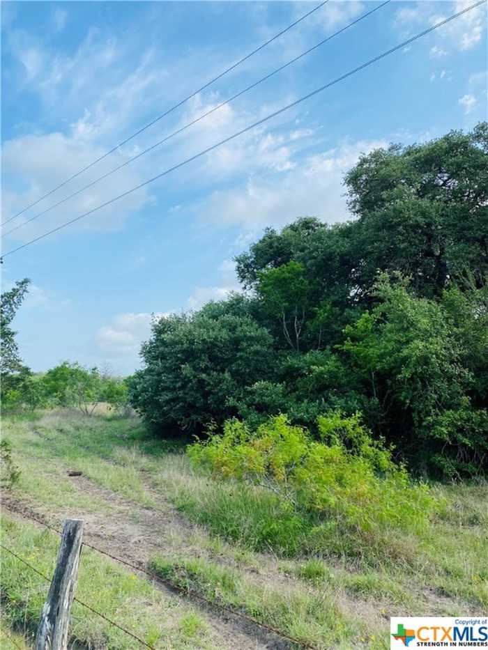 photo 5: TBD County Road 417, Yoakum TX 77995