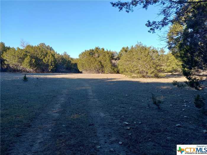 photo 2: Tract 2 CR 102, Purmela TX 76566