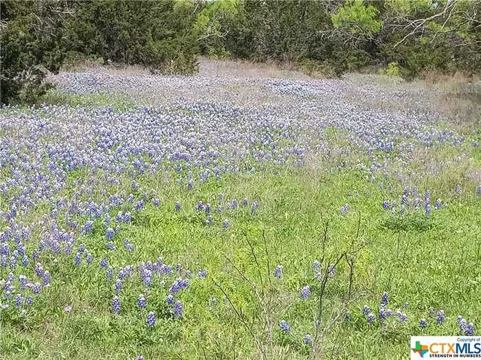 photo 1: Tract 4 CR 102, Purmela TX 76566