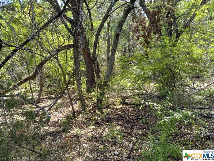 photo 2: Tract 5 CR 102, Purmela TX 76566