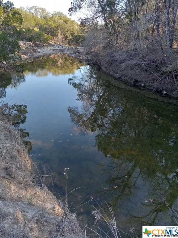 photo 3: Tract 7 CR 102, Purmela TX 76566