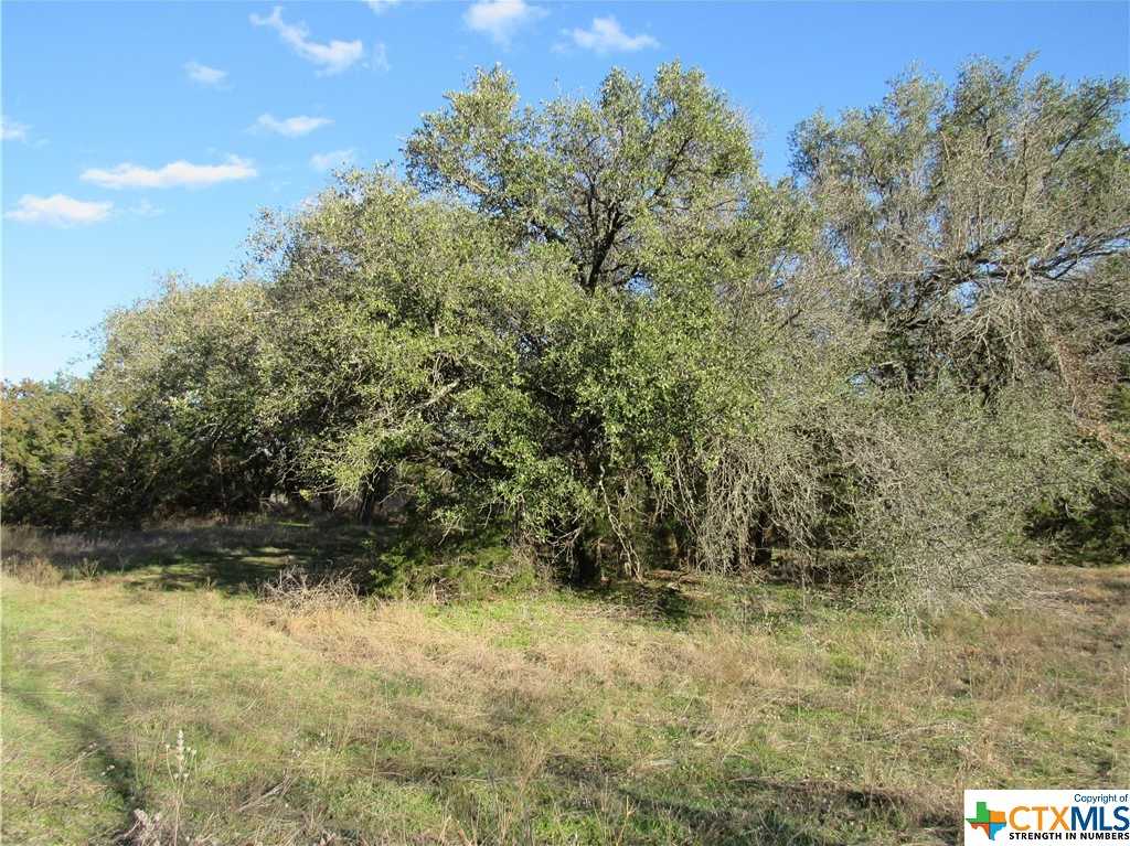 photo 2: Lot 2, Block 6 CR 421, Evant TX 76525