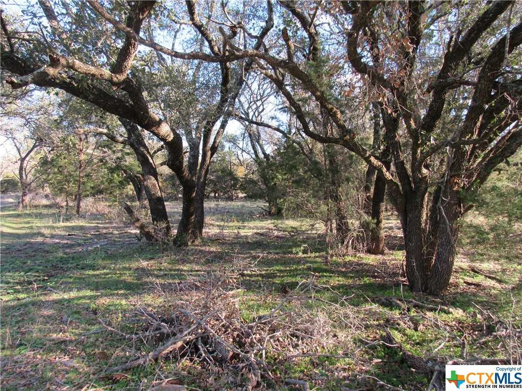 photo 3: Lot 2, Block 6 CR 421, Evant TX 76525