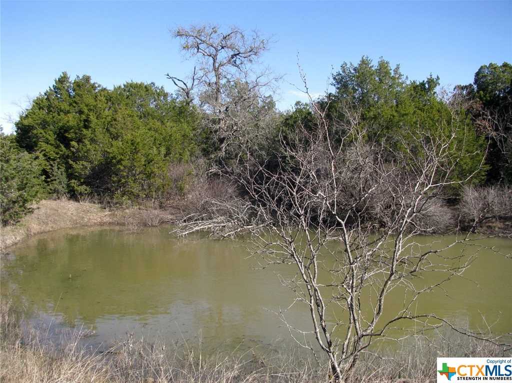 photo 1: Lot 3 Ph 6 County Road 421, Evant TX 76525