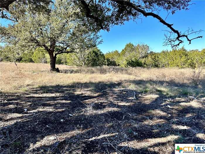 photo 2: TBD Lot 85 PR 4212, Evant TX 76525