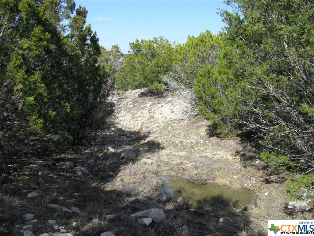 photo 3: Lot 42 Ph 4 PR 42129, Evant TX 76525