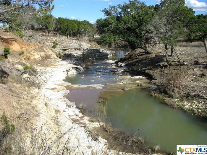 photo 1: 1466 Buffalo Creek Drive, Evant TX 76525