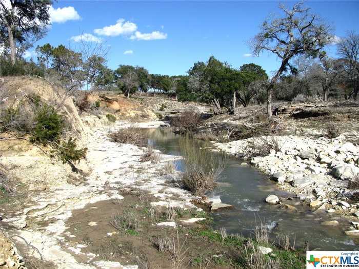 photo 2: 1466 Buffalo Creek Drive, Evant TX 76525