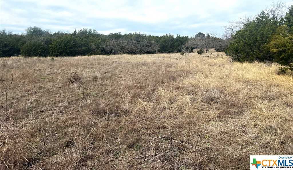 photo 1: 25 Acres Private Road 3359, Kempner TX 76539