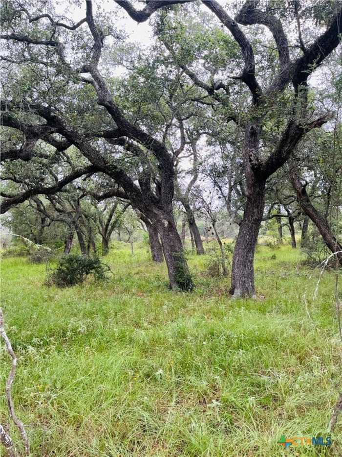 photo 5: Rocky Rd, Cuero TX 77954