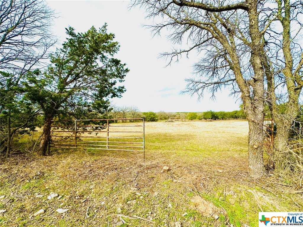 photo 2: TBD 1 County Rd 107, Gatesville TX 76528