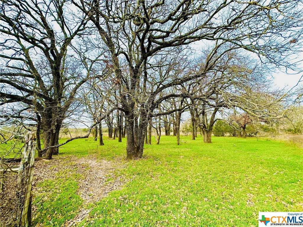 photo 1: TBD 2 County Rd 107, Gatesville TX 76528