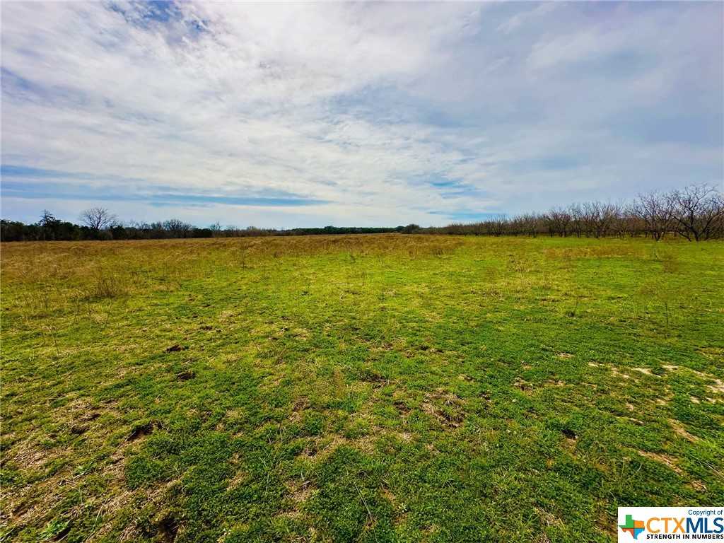 photo 3: TBD 2 County Rd 107, Gatesville TX 76528