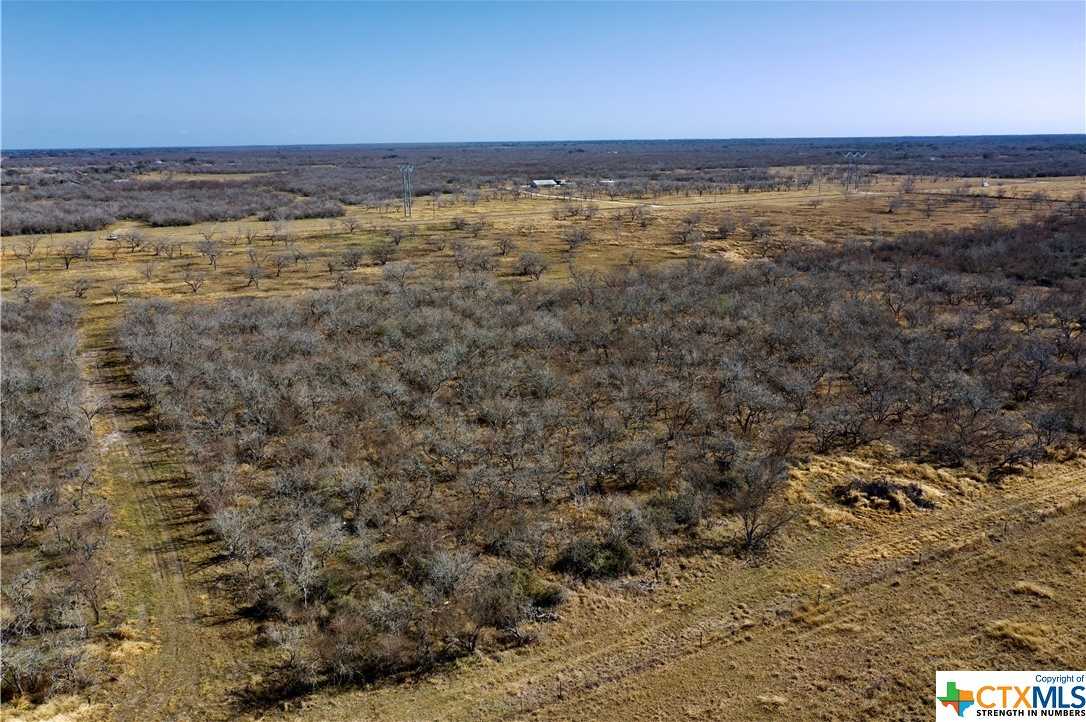 photo 1: TBD McCampbell - Tract F, Goliad TX 77963