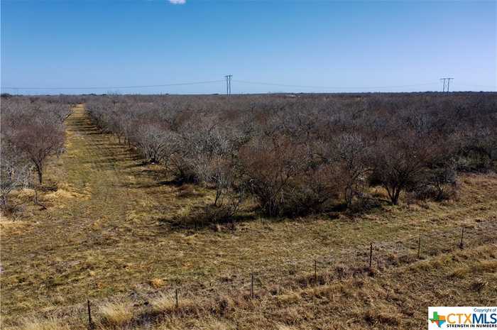 photo 2: TBD Fannin - Tract B, Goliad TX 77963