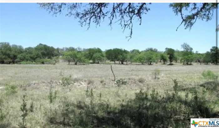 photo 5: TBD Buffalo Creek lot 76 Drive, Evant TX 76525