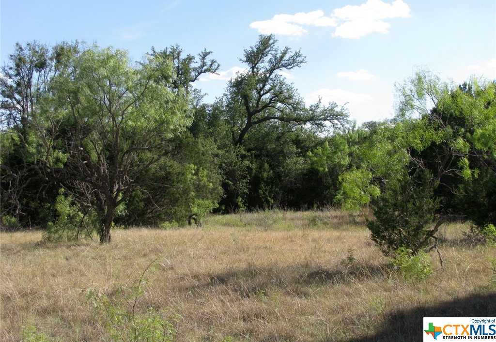 photo 1: Lot 20 Ph 4 Pr 42126, Evant TX 76525