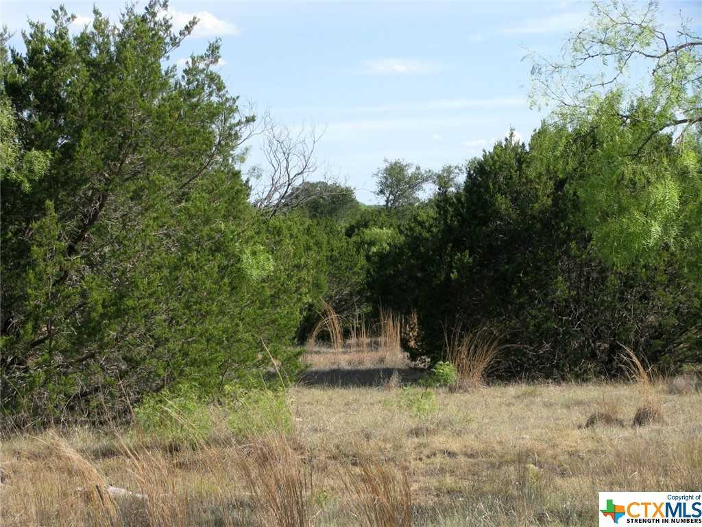 photo 3: Lot 20 Ph 4 Pr 42126, Evant TX 76525