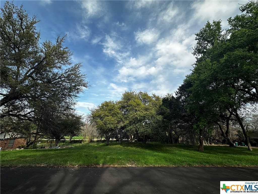 photo 1: TBD Estate Drive, Belton TX 76513