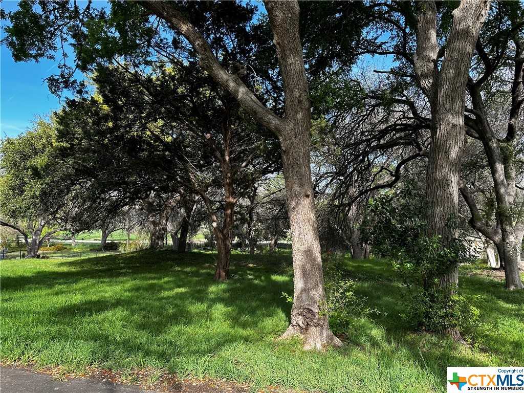 photo 3: TBD Estate Drive, Belton TX 76513