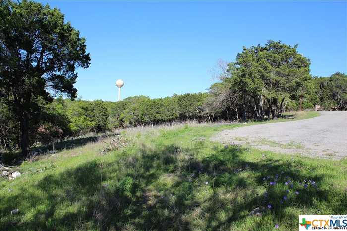 photo 6: 15837 Lovetta Lane, Temple TX 76502