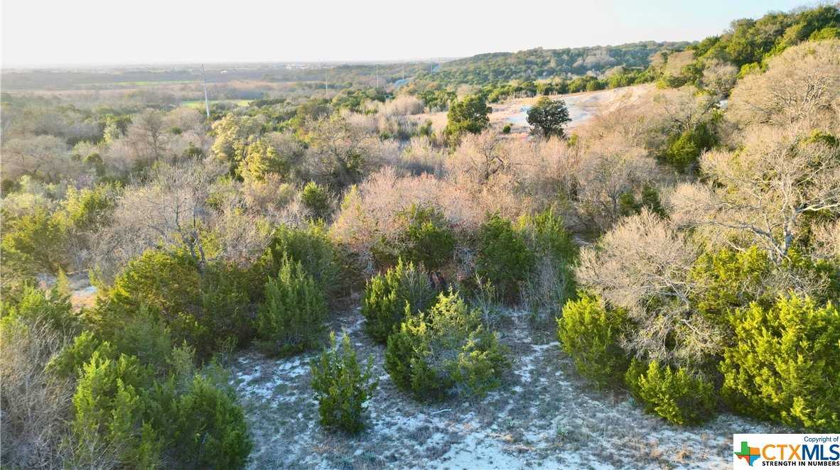 photo 3: Cedar Ridge Road, Gatesville TX 76528