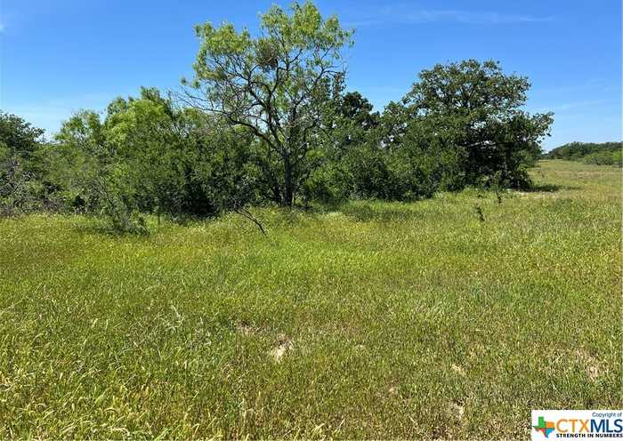 photo 2: Tract 4 CR 482, Gonzales TX 78629