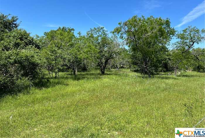 photo 1: Tract 6 CR 482, Gonzales TX 78629