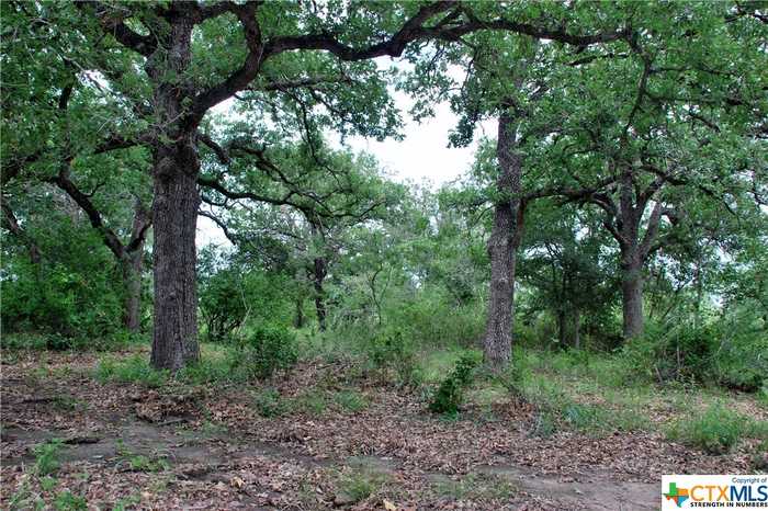 photo 14: Tract 6 CR 482, Gonzales TX 78629