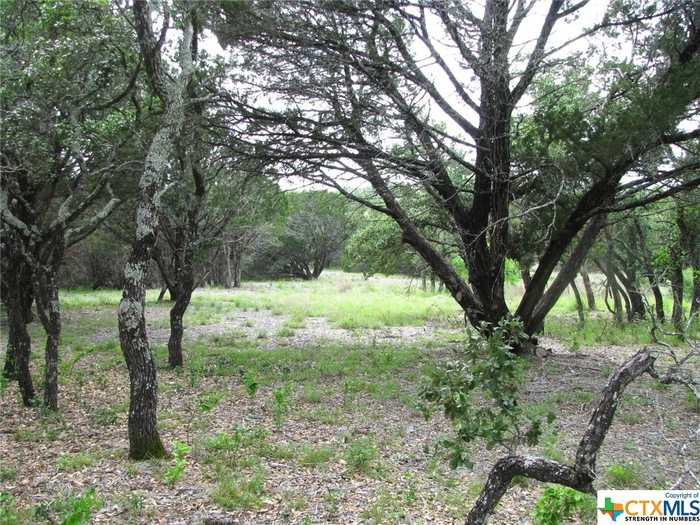 photo 2: Lot 9 Ph 5 Flint Rock Court, Evant TX 76525