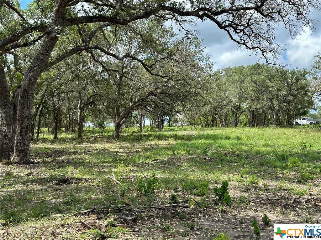 photo 1: 1776 FM 1351, Goliad TX 77963