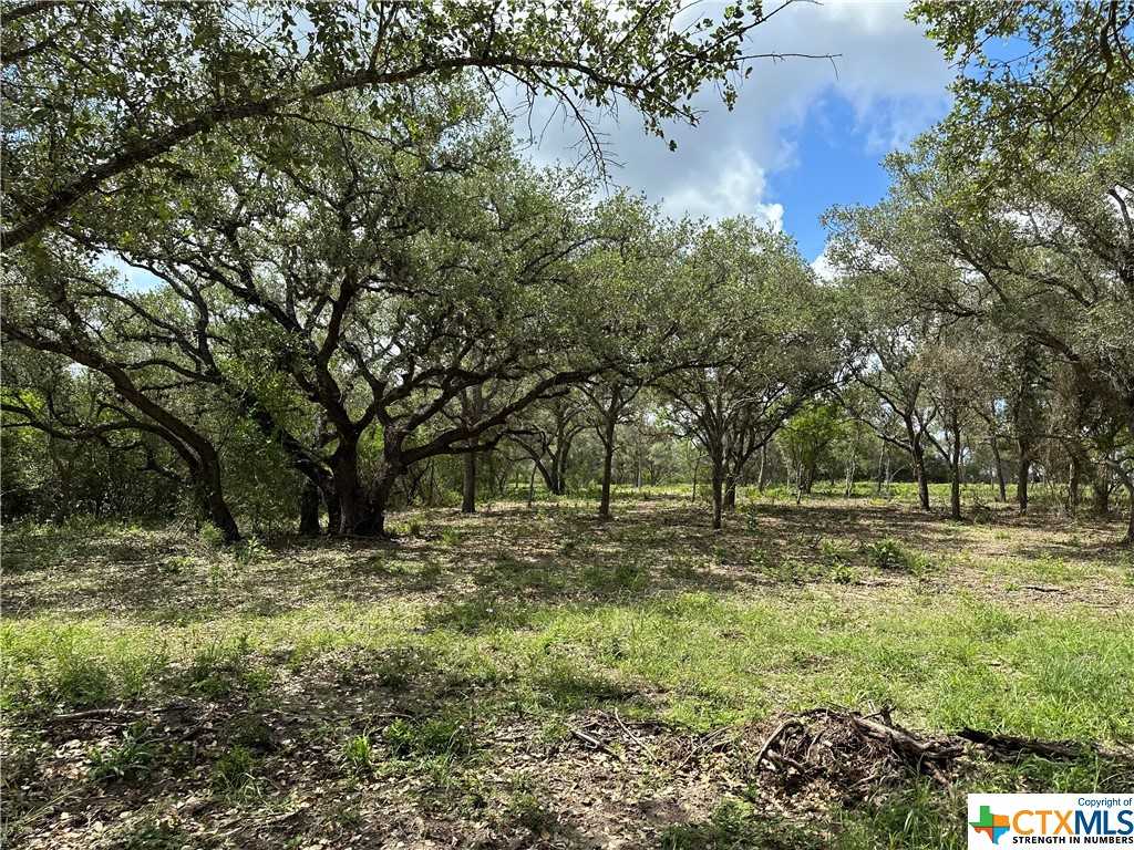 photo 3: 1776 FM 1351, Goliad TX 77963