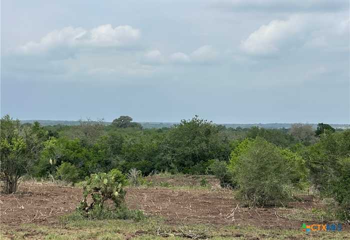 photo 1: 1776 FM 1351, Goliad TX 77963